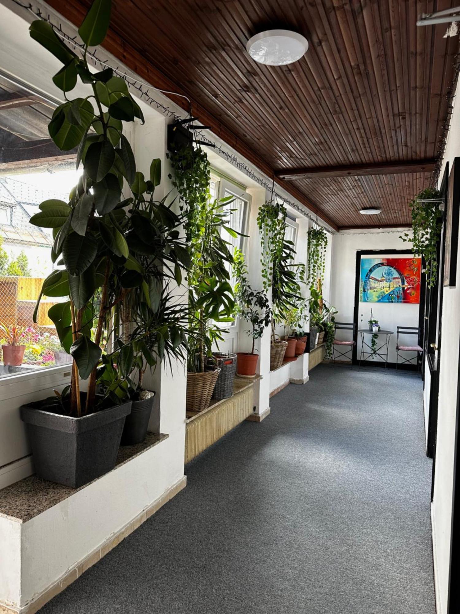 Hostel Lovely Rooms, City Center, Shared Bathroom, Windows To Corridor Villach Bagian luar foto